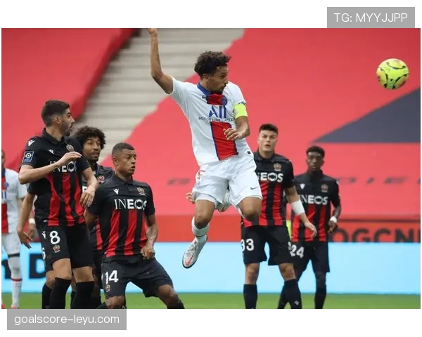 尼斯进攻火力全开，数据分析揭示球队潜力与挑战并存